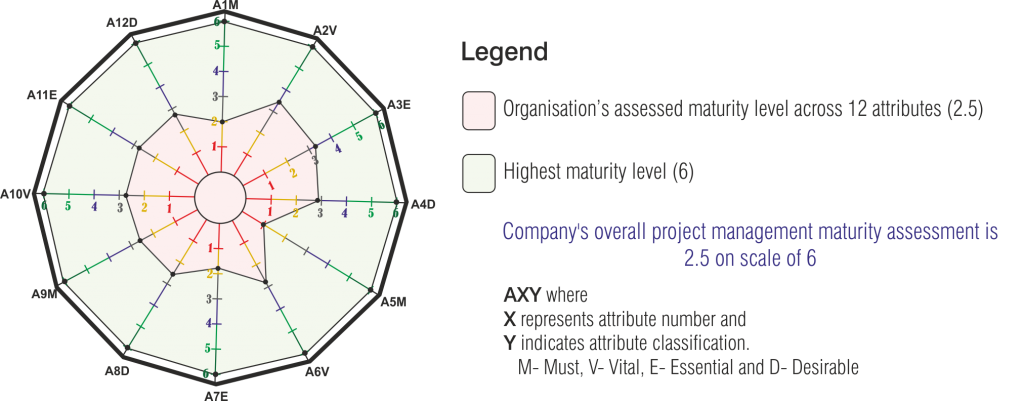 Organisation project management maturity assessment