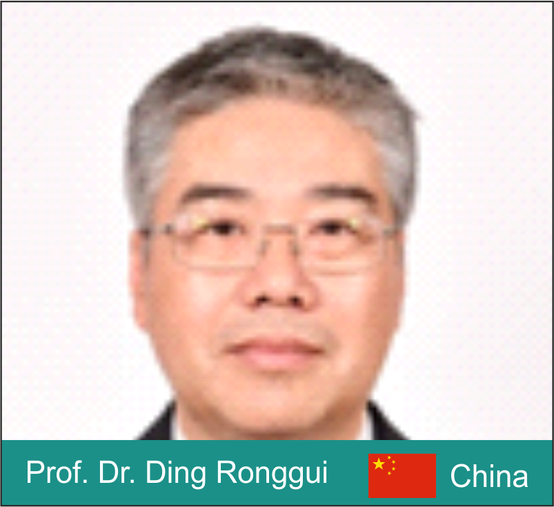 Prof. Dr. Ding Ronggui
